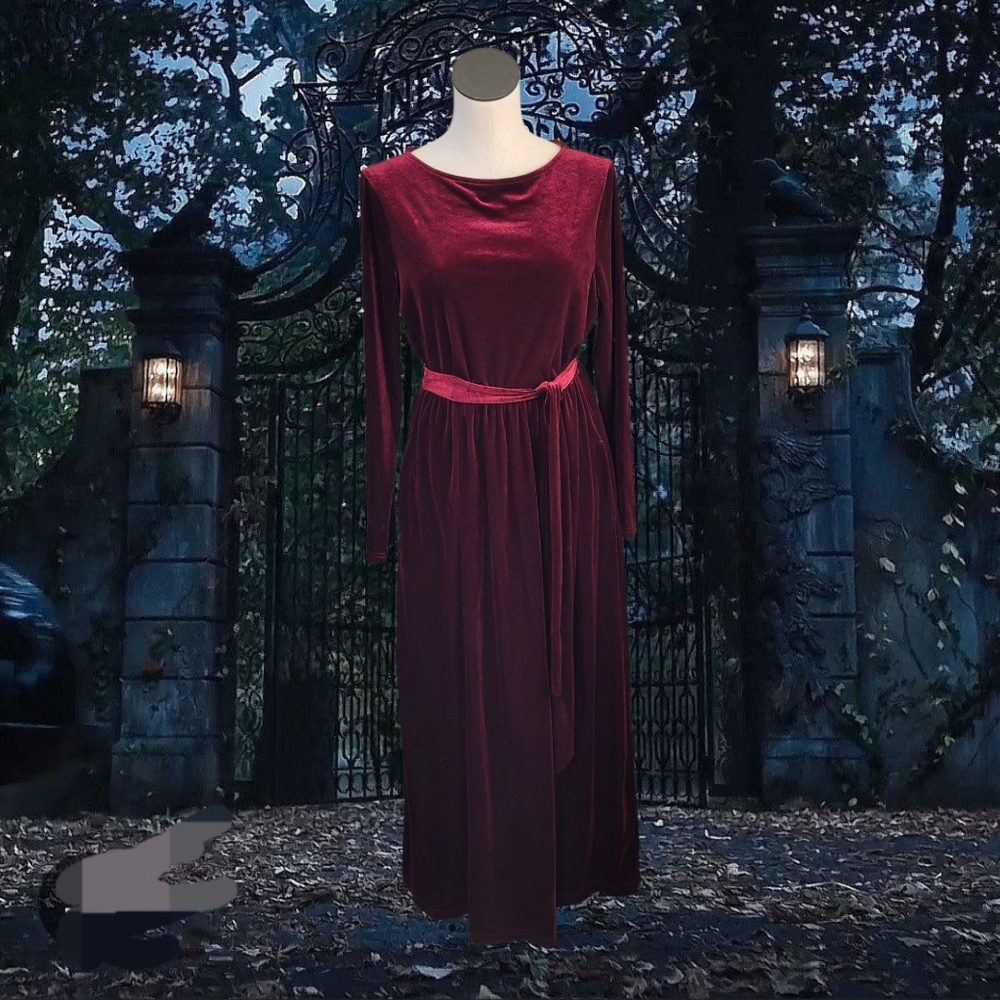 Elegant Burgundy Long Sleeve Dress
